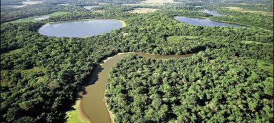 Dia do Pantanal de MS completa 3 anos e autor da Lei, Renato Câmara, destaca importância da iniciativa