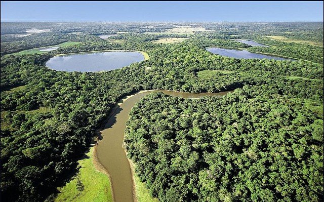 Dia do Pantanal de MS completa 3 anos e autor da Lei, Renato Câmara, destaca importância da iniciativa