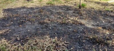 PMA de Aquidauana autua homem por atear fogo em terreno