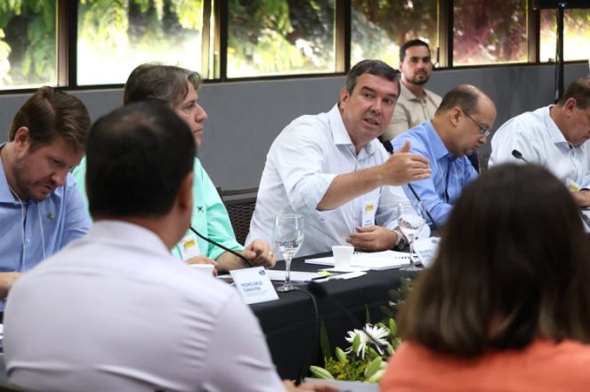 Riedel aponta resultado positivo no seu primeiro ano de gestão
