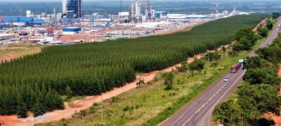 Ranking de liberdade econômica coloca MS entre os três estados com melhor ambiente para negócios