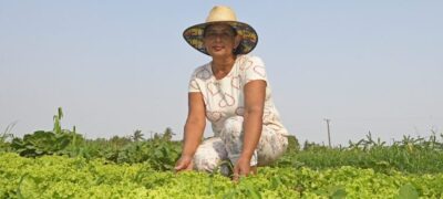 Mãos do campo e das aldeias levam comida sustentável e de qualidade para mesa dos alunos