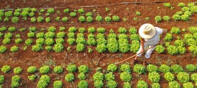 Com projeto na agricultura familiar, MS dá mais um passo para se tornar carbono neutro até 2030