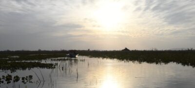 Instrumento para preservação e desenvolvimento, Lei do Pantanal tem reconhecimento de entidades e ONGs