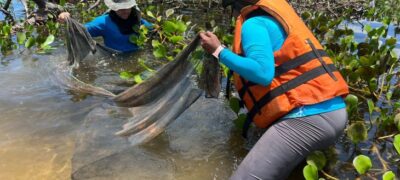 A bordo de navio da Marinha, pesquisadores do Bioparque desbravam o Pantanal em expedição
