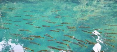 Polícia Militar Ambiental de Bonito autua atrativo turístico em R$ 180.000,00