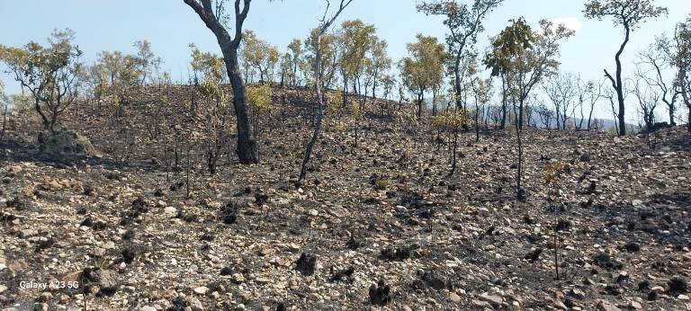 Incêndio atinge Patrimônio Natural da Humanidade no Pantanal e fogo cobre Serra do Amolar