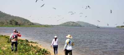 Redução de imposto e ambiente positivo incentivam novos empreendedores no coração da Rota Bioceânica