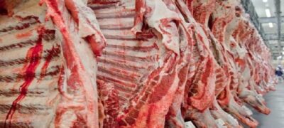 China vai comprar carne de mais cinco frigoríficos de MS; medida permite melhoria de preço interno