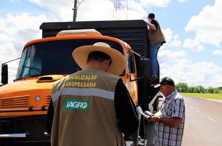 Com 29 vagas, Governo de MS autoriza concurso para área de fiscalização e defesa sanitária na Iagro