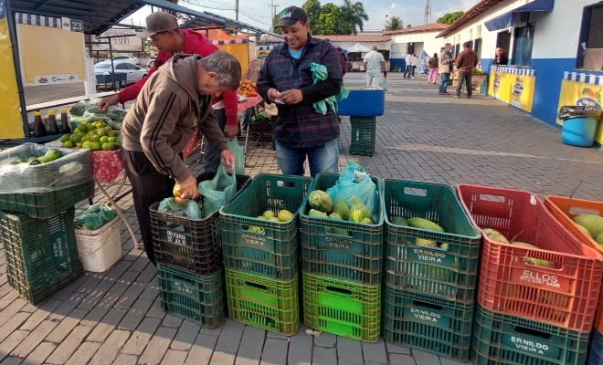 Hoje é dia de Feira: Realizada pelo Sebrae/MS, ação apoia mais de 390 feirantes em 26 municípios do estado