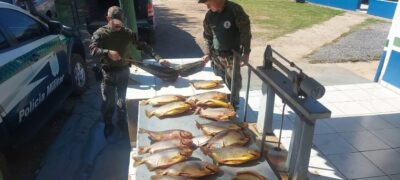 PMA de Porto Murtinho apreende 136 kg de pescados