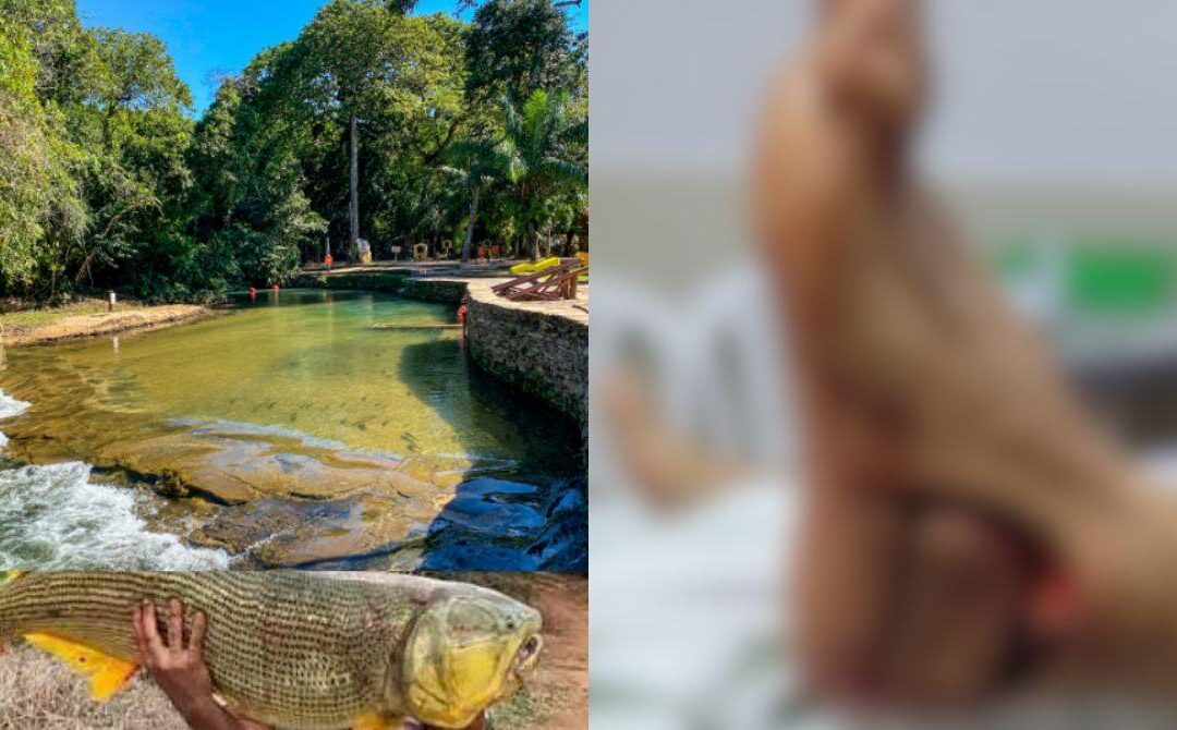 Turista quase perde o pé ao ser mordido por peixe em Bonito