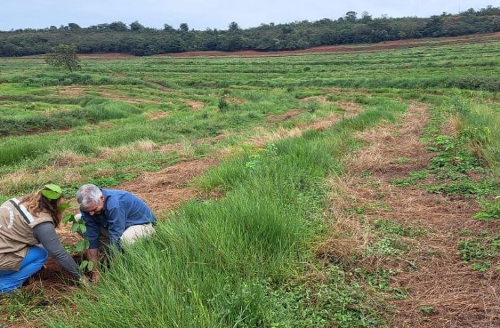 Projeto “Sementes do Taquari” muda cenário de parque com plantio de mudas e recuperação de áreas degradadas