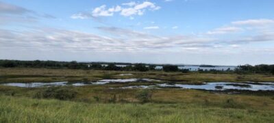 Workshop da UEMS discute o enfrentamento climático com captura de carbono em reserva no sul do Estado