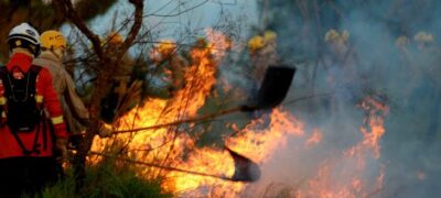 Treinamento de combate ao fogo qualifica novos soldados dos Bombeiros para atuar em incêndios florestais