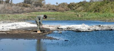 Gretap: equipe do Governo de MS no Pantanal monitora áreas queimadas em busca de animais feridos