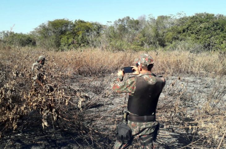 MS já aplicou R$ 54 milhões em multas por incêndios no Pantanal, e mutirão vai acelerar processos