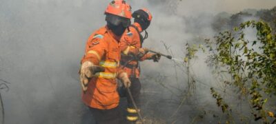 Luta dos Bombeiros contra o fogo no Pantanal é contínua e emociona quem é salvo das chamas