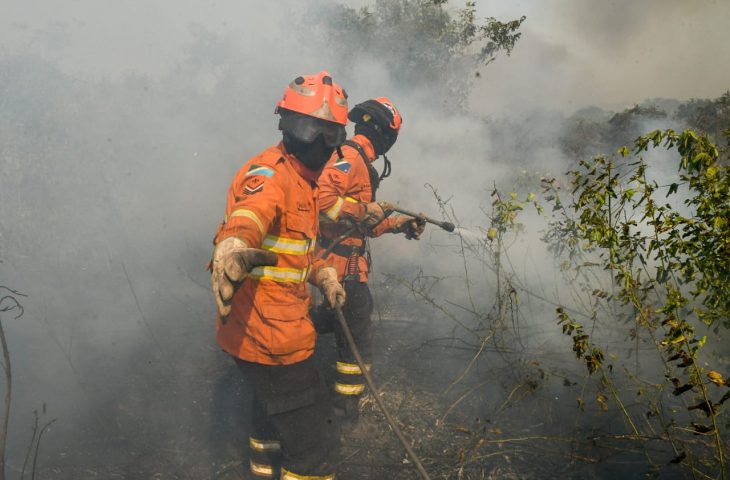 Luta dos Bombeiros contra o fogo no Pantanal é contínua e emociona quem é salvo das chamas