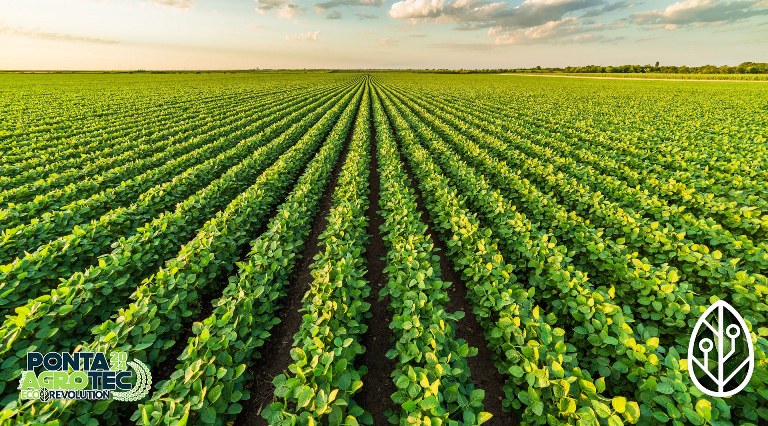 Manejo de Plantas Daninhas será tema de palestra na Ponta Agrotec 2024