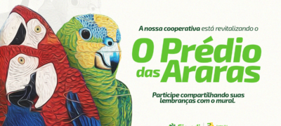 Sicredi Centro-Sul MS/BA está revitalizando a pintura do Prédio das Araras