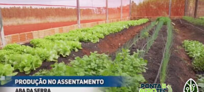 Palestra na Ponta Agrotec destaca a Agricultura Familiar como força na produtividade do campo