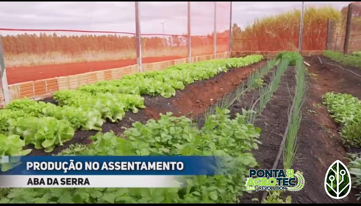 Palestra na Ponta Agrotec destaca a Agricultura Familiar como força na produtividade do campo