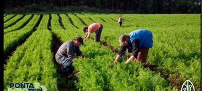 Mesa Redonda discute o Futuro da Agricultura Familiar na 3ª Edição da Ponta Agrotec