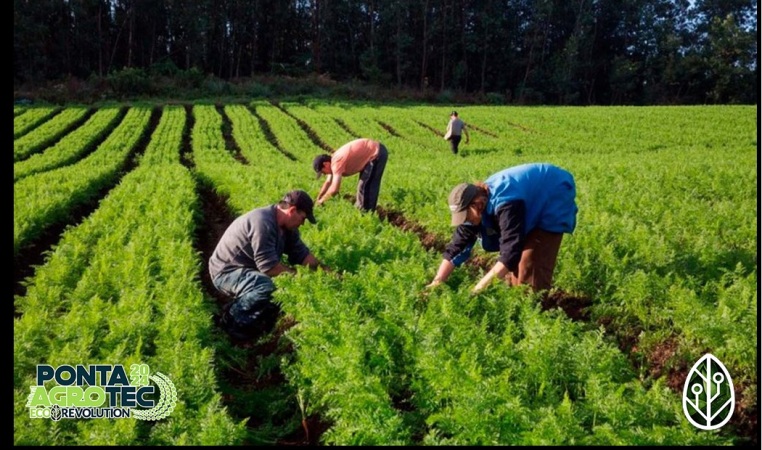 Mesa Redonda discute o Futuro da Agricultura Familiar na 3ª Edição da Ponta Agrotec