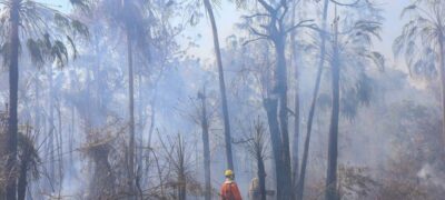 Combate aos incêndios no Pantanal tem reforço com equipes de bombeiros do PR e GO