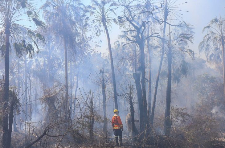 Combate aos incêndios no Pantanal tem reforço com equipes de bombeiros do PR e GO