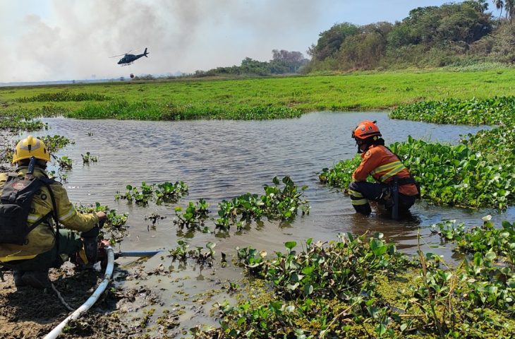 Serra do Amolar, Porto da Manga e Rabicho concentram esforços dos Bombeiros no Pantanal