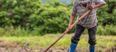 Investimento na agricultura familiar sobe 130% em edital de extensão da Fundect