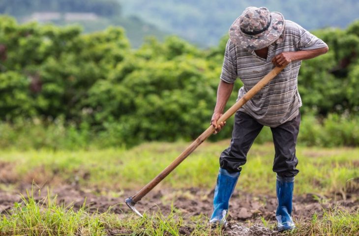 Investimento na agricultura familiar sobe 130% em edital de extensão da Fundect