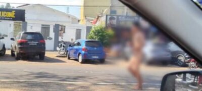 Calor, né? ‘Peladão’ é flagrado andando tranquilamente em Ponta Porã (vídeo)