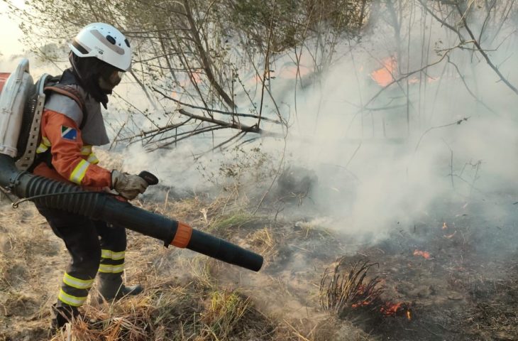 Amor e determinação: mulheres têm papel de destaque no combate aos incêndios no Pantanal