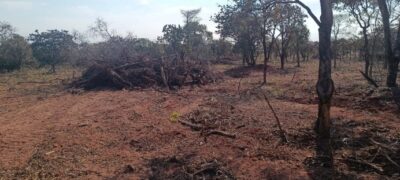 PMA de Bela Vista Autua Propriedade por Exploração Ilegal de Vegetação Nativa na Cabeceira do Apa