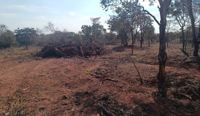 PMA de Bela Vista Autua Propriedade por Exploração Ilegal de Vegetação Nativa na Cabeceira do Apa