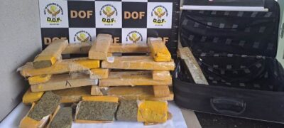 Veículos furtados são recuperados pelo DOF em Japorã, com carga milionária de maconha