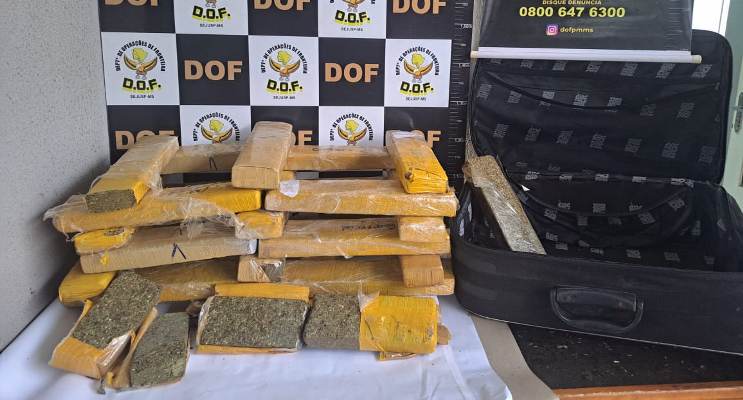 Veículos furtados são recuperados pelo DOF em Japorã, com carga milionária de maconha