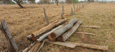 Polícia Militar Ambiental de Aquidauana realiza operação em assentamento rural e autua 4 propriedades