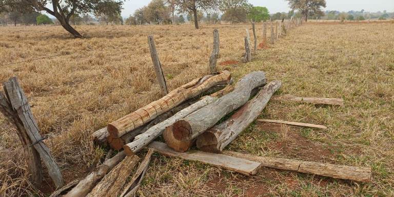 Polícia Militar Ambiental de Aquidauana realiza operação em assentamento rural e autua 4 propriedades