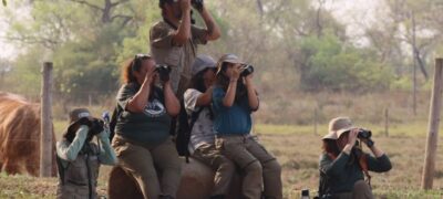 Turismo em ascensão: desafio de observação de aves registra 345 espécies em MS