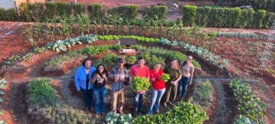 Bolsistas do Pictec inovam agricultura familiar em Anhanduí com apoio da Fundect