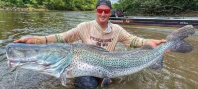 Fátima do Sul : Em dia de sorte pescador fisga dois pintados gigantes no rio Dourados