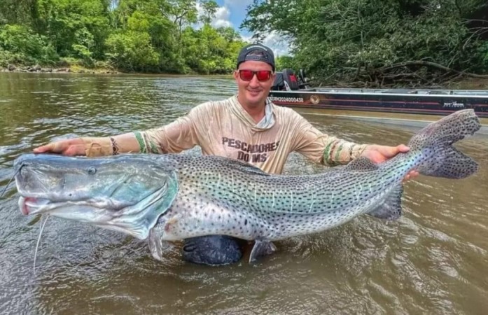 Fátima do Sul : Em dia de sorte pescador fisga dois pintados gigantes no rio Dourados