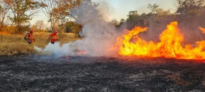 Pantanal de MS tem quatro focos de incêndios ativos e trabalho de combate no bioma completa 198 dias