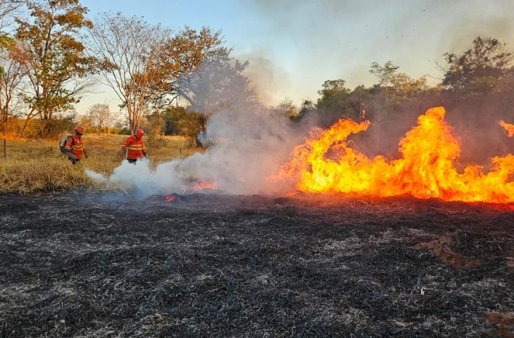 Pantanal de MS tem quatro focos de incêndios ativos e trabalho de combate no bioma completa 198 dias