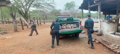 Polícia Militar Ambiental de Corumbá Apreende Madeira e Carvão em Assentamento